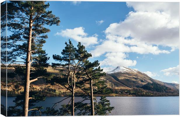 Sunlit trees on the shore of Thirlmere. Canvas Print by Liam Grant