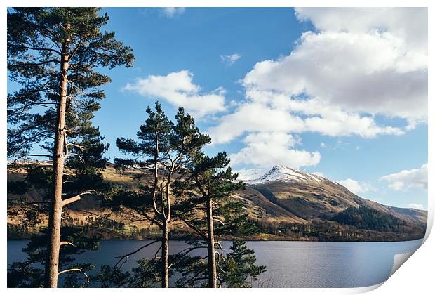 Sunlit trees on the shore of Thirlmere. Print by Liam Grant