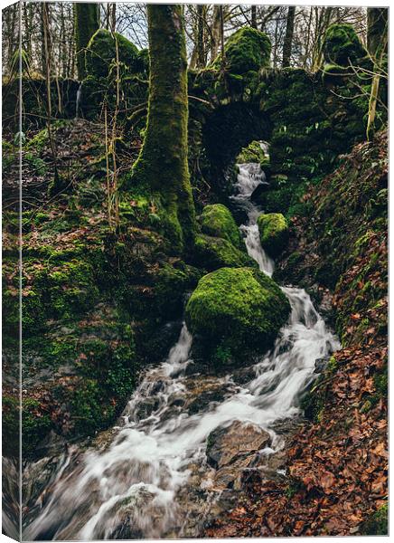 Stone bridge over waterfall near Stockghyll Force. Canvas Print by Liam Grant