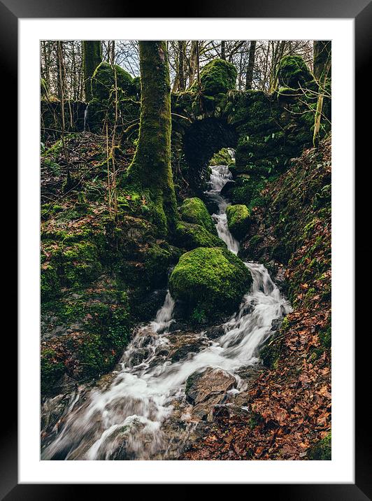 Stone bridge over waterfall near Stockghyll Force. Framed Mounted Print by Liam Grant