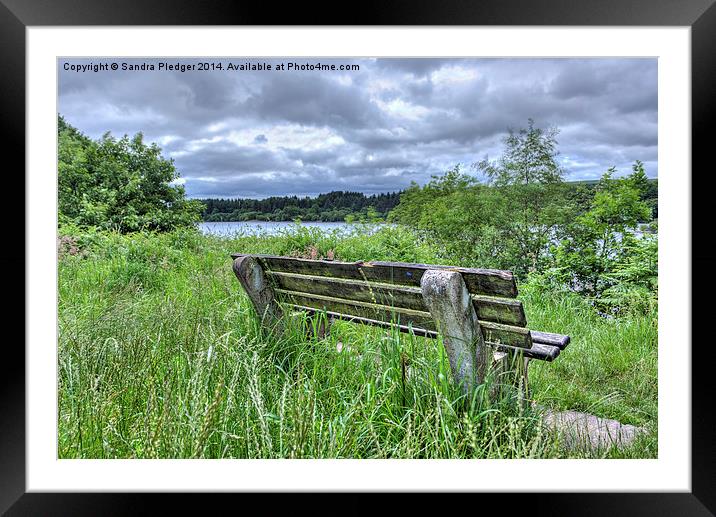 Stop and Rest Framed Mounted Print by Sandra Pledger