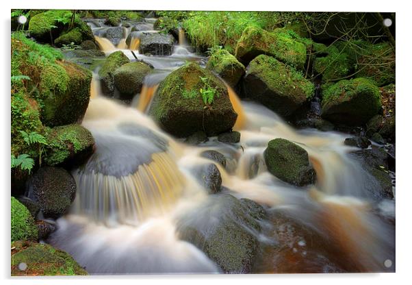 Wyming Brook Falls Acrylic by Darren Galpin