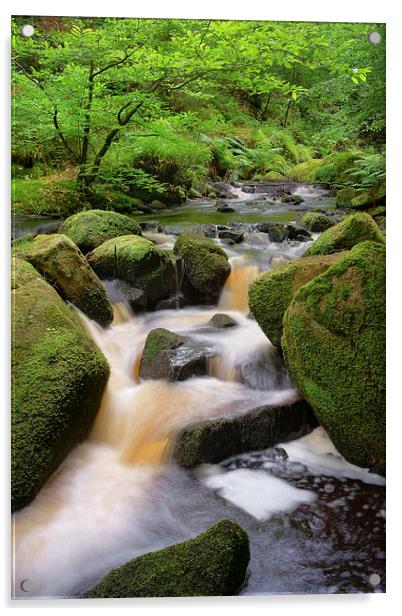 Wyming Brook Falls 2 Acrylic by Darren Galpin