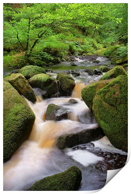 Wyming Brook Falls 2 Print by Darren Galpin