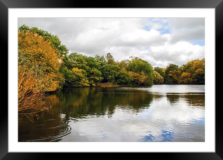 Danbury Lakes Framed Mounted Print by Terry Stone
