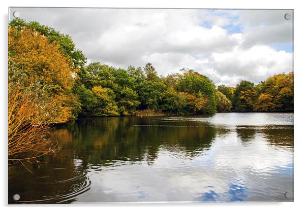 Danbury Lakes Acrylic by Terry Stone