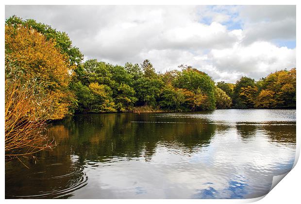 Danbury Lakes Print by Terry Stone