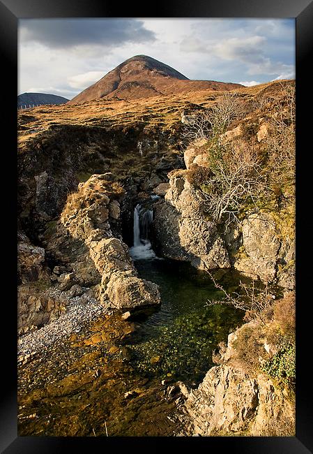 The Green Pool Framed Print by Jacqi Elmslie