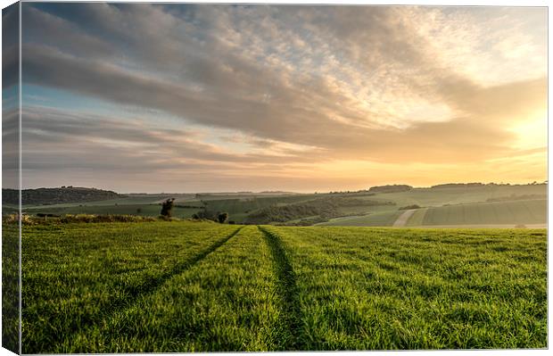 Lines in the Landscape Canvas Print by Malcolm McHugh