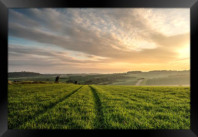 Lines in the Landscape Framed Print by Malcolm McHugh