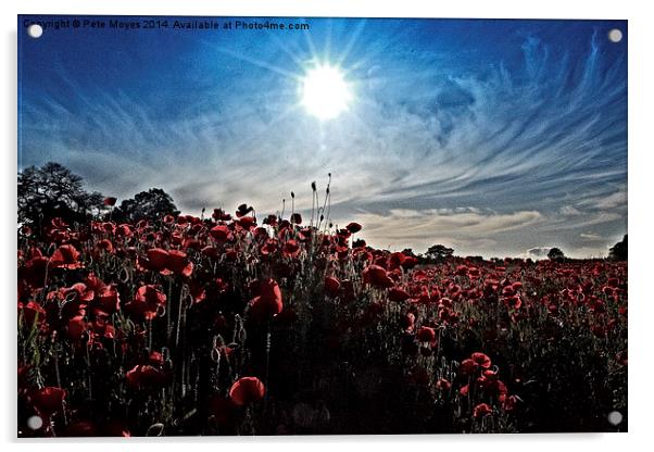 Afternoon in the poppy field Acrylic by Pete Moyes