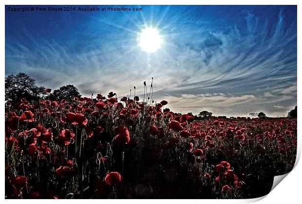 Afternoon in the poppy field Print by Pete Moyes