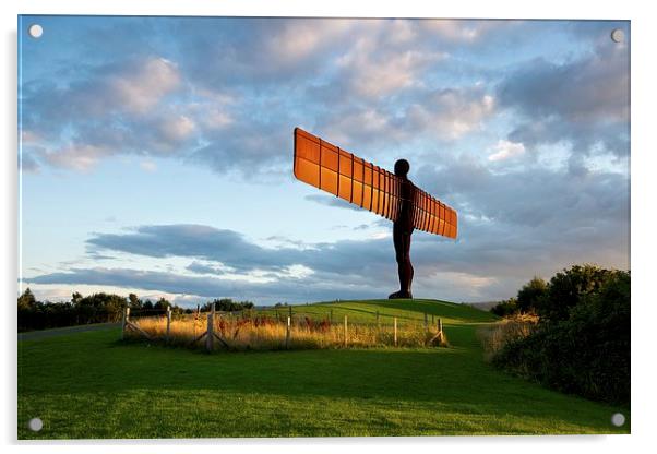The Angel of the North Acrylic by Stephen Taylor