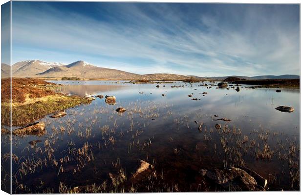 Rannoch Moor in the summer Canvas Print by Stephen Taylor