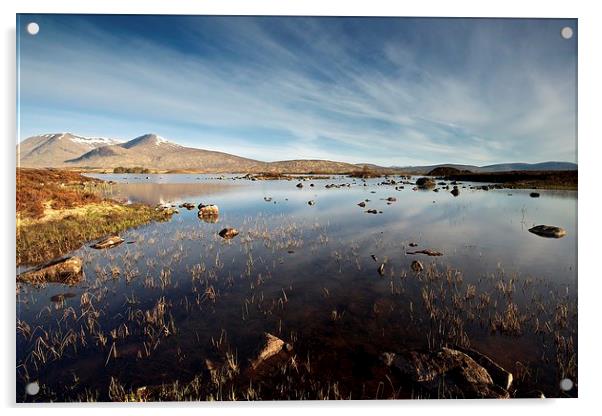 Rannoch Moor in the summer Acrylic by Stephen Taylor