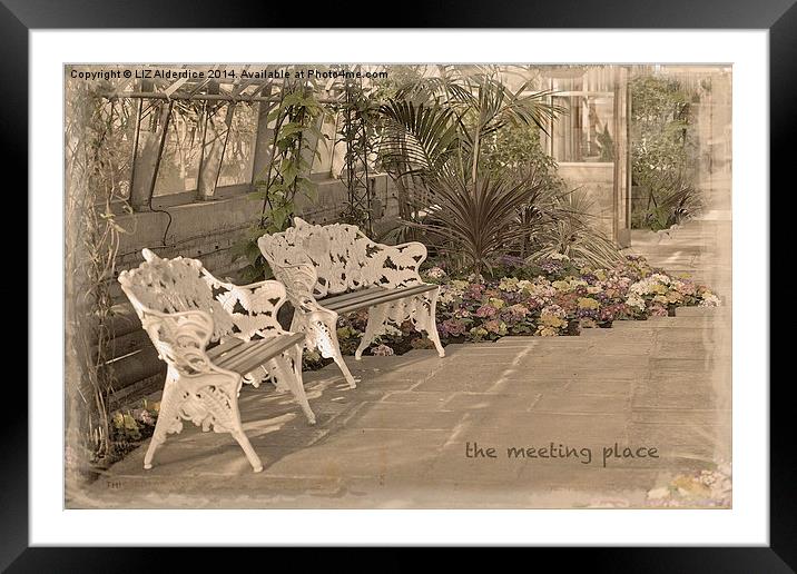 The Meeting Place Framed Mounted Print by LIZ Alderdice