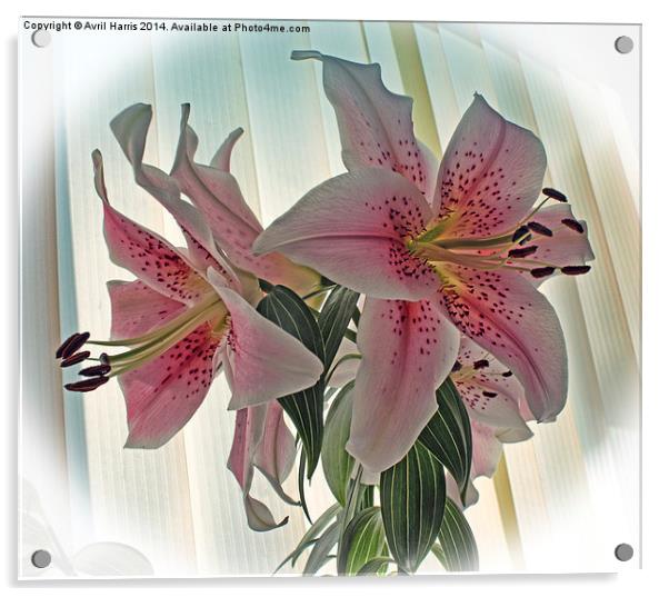 Muscadet Lily Acrylic by Avril Harris