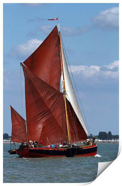 Maldon Barge Race Print by Terry Stone