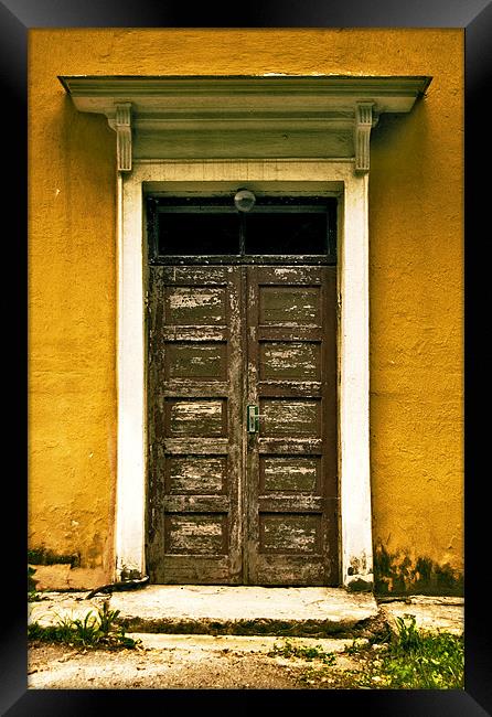 Old door Framed Print by Laimonas Bogusas