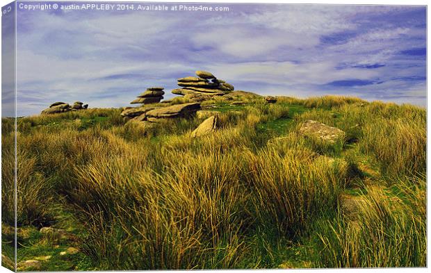 CHEESEWRING BODMIN MOOR CORNWALL Canvas Print by austin APPLEBY