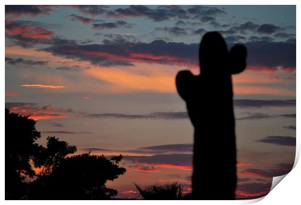 sunset in  phoenix Print by Pete Schulte