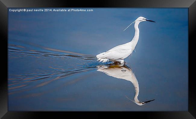 time for a little reflection Framed Print by paul neville