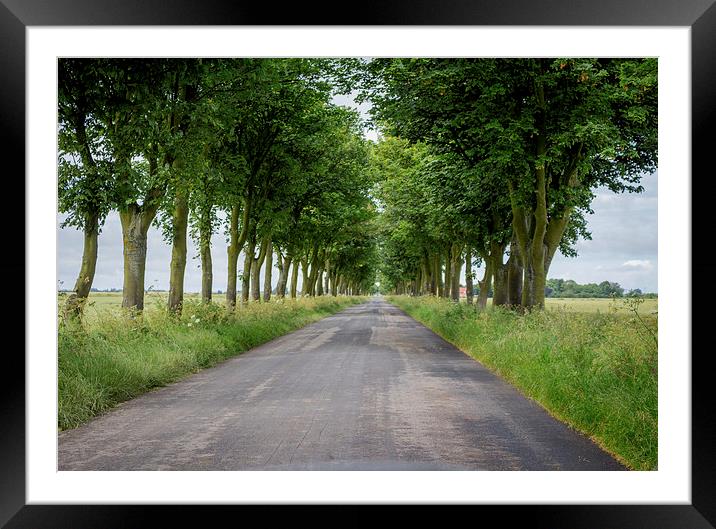Endless Road Framed Mounted Print by Liam Gibbins