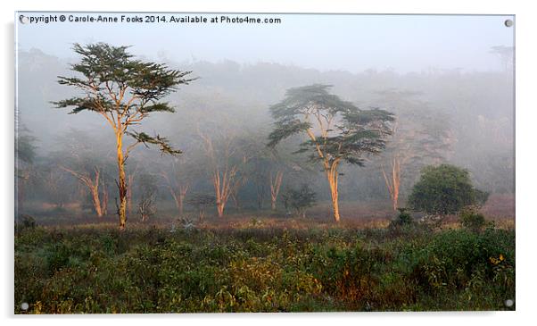 Foggy Morning, Lake Nakuru, Kenya Acrylic by Carole-Anne Fooks