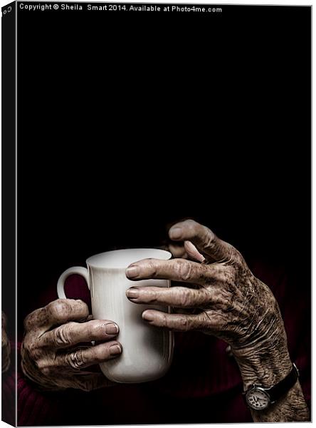 Time for a cuppa Canvas Print by Sheila Smart