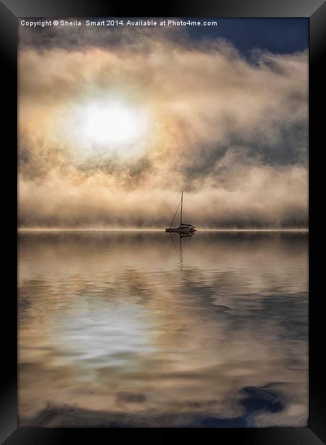 Sunrise at Paihia Bay, New Zealand Framed Print by Sheila Smart