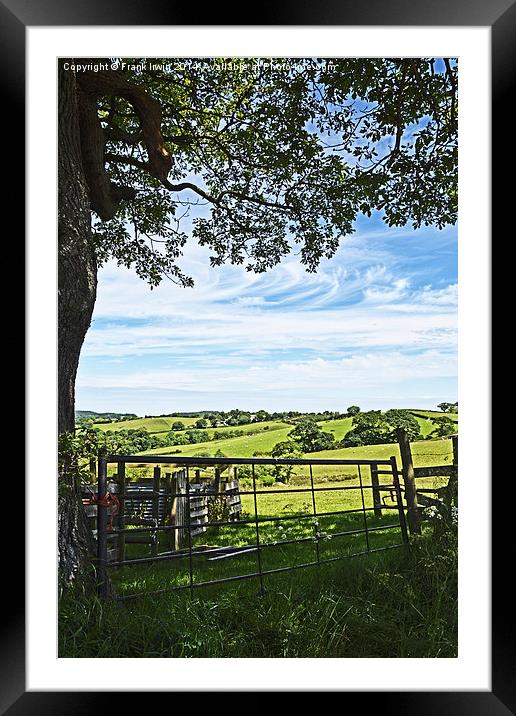 Sheep pens in North wales Framed Mounted Print by Frank Irwin