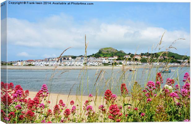 Across the river is Deganwy Canvas Print by Frank Irwin