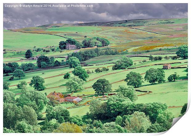 Swaledale near Reeth in the Yorkshire Dales Print by Martyn Arnold