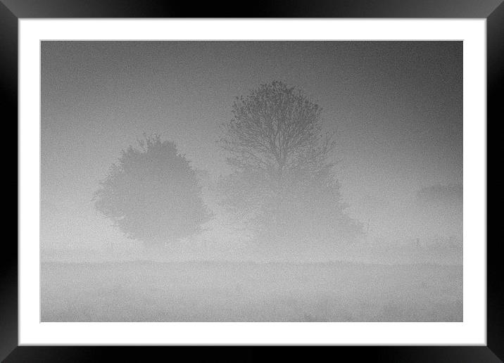 Trees in the Morning Mist Framed Mounted Print by andy myatt