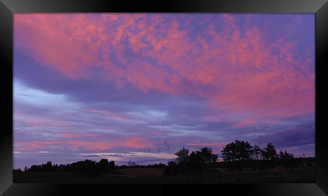 Soft Pink Sunset Framed Print by Donna-Marie Parsons