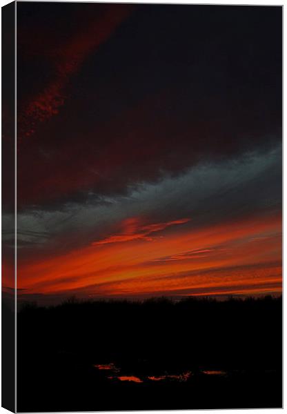 Fenland Evening Sunset Canvas Print by Adrian Searle