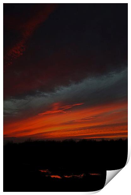 Fenland Evening Sunset Print by Adrian Searle
