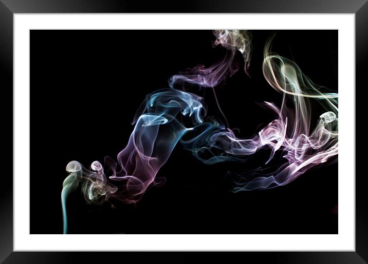 Smokey 16 Framed Mounted Print by Steve Purnell