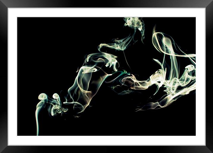 Smokey 15 Framed Mounted Print by Steve Purnell