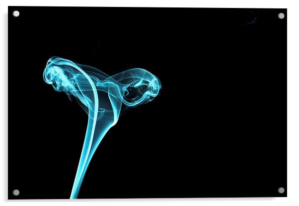 Smokey 14 Acrylic by Steve Purnell