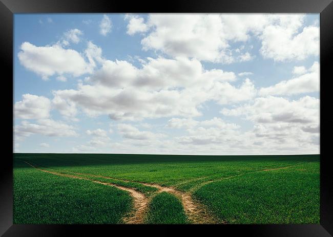 Tracks in a green field below a cloudy blue sky. Framed Print by Liam Grant