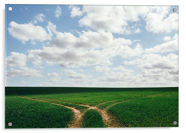 Tracks in a green field below a cloudy blue sky. Acrylic by Liam Grant