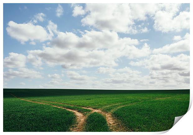 Tracks in a green field below a cloudy blue sky. Print by Liam Grant