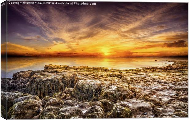 Isle of Wight  Seaview Canvas Print by stewart oakes