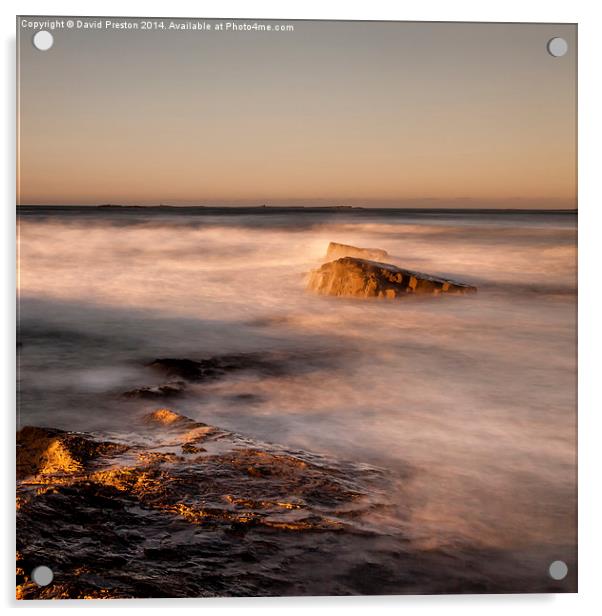 Evening Light at Bamburgh Acrylic by David Preston