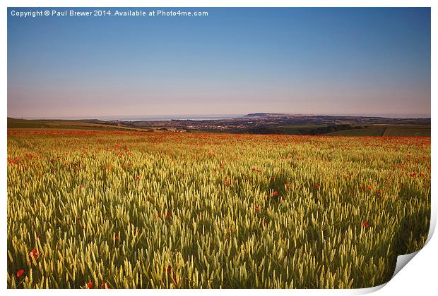 Poppy Field overlooking Weymouth on a June Evening Print by Paul Brewer