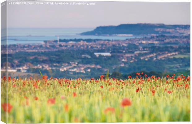 Field of Poppies overlooking Weymouth and Portland Canvas Print by Paul Brewer