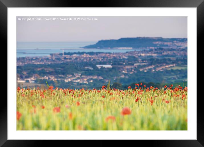 Field of Poppies overlooking Weymouth and Portland Framed Mounted Print by Paul Brewer