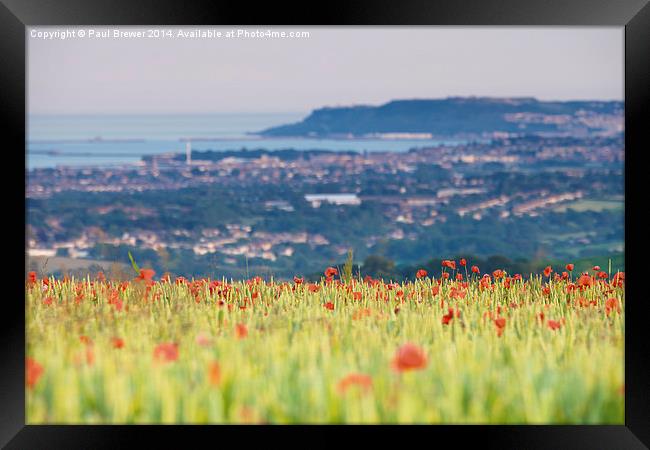 Field of Poppies overlooking Weymouth and Portland Framed Print by Paul Brewer