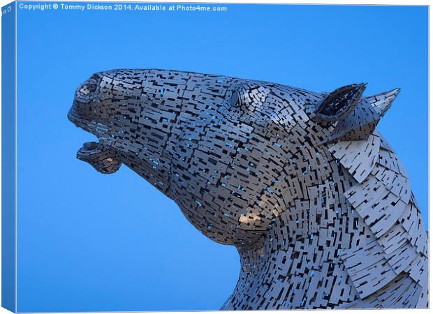 Kelpie Horse Sculpture at Blue Hour Canvas Print by Tommy Dickson